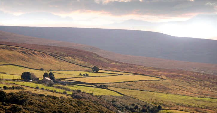 View of heather covered moorland on the outskirts of Wolsingham in County Durham.